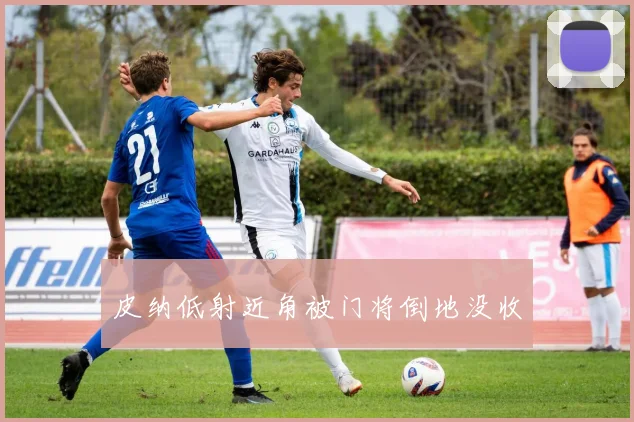 皮纳低射近角被门将倒地没收